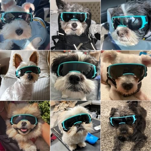 PETLESO Dog Goggles Sunglasses Small to Medium Breed, Anti-Fog UV400 Lens Puppy Sunglasses, Adjustable Lightweight Doggie Goggles for UV, Wind, Snow, Dust Protection, Blue - Image 2