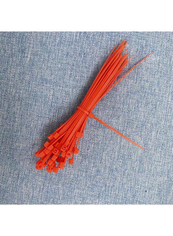 Bluejw Color Self-locking Nylon Cable Tie Industrial Gardening Household Strong Binding Cable Tie Factory Direct Sales  - Image 5