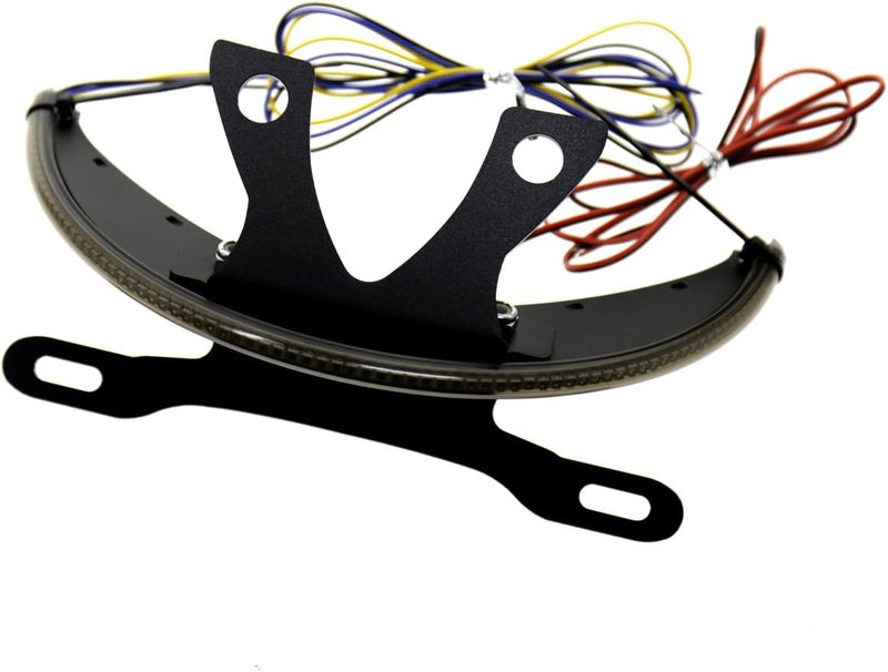 Rudyness LED Fender Turn Signal Kit with Smoked Lens, Tag Light & Bracket for Victory 2003-2017 - Image 1