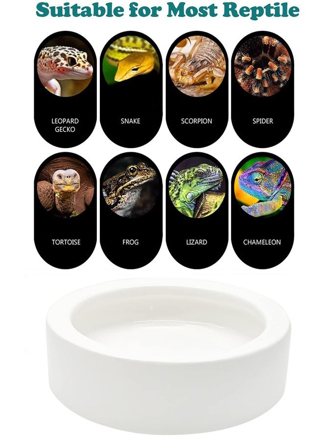 iHomeSet 3 أوعية طعام للزواحف، وعاء ماء سيراميكي للسحالي، الأنول، التنانين الملتحية، أبو بريص المتوج، وسرطانات الناسك، مثلثة الشكل - Image 4