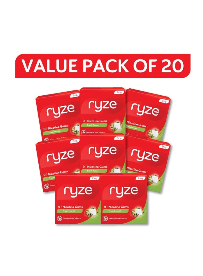 رايز RYZE علكة النيكوتين 2 ملغ | عبوة من 20 (180 علكة) | بنكهة الشمر المنعش | تحرر من التدخين والتبغ | لطيفة على الحلق | معتمدة من إدارة الغذاء والدواء (FDA) | خالية من السكر | لتبييض الأسنان - Image 1
