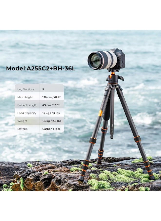 K&F Concept 62-inch Carbon Fiber Camera Tripod,Portable Compact Tripods with Detachable Monopod,360° Metal Ball Head 15KG/33lbs Load Capacity with Quick Release Plate for Travel and Work A255C2+BH-35L  - Image 2