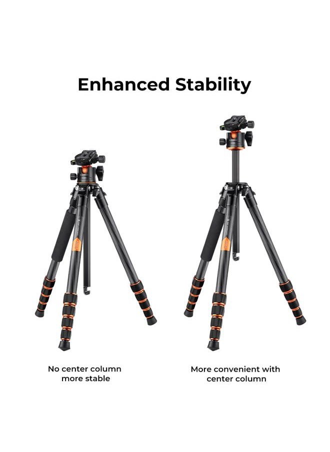 K&F Concept 62-inch Carbon Fiber Camera Tripod,Portable Compact Tripods with Detachable Monopod,360° Metal Ball Head 15KG/33lbs Load Capacity with Quick Release Plate for Travel and Work A255C2+BH-35L  - Image 4