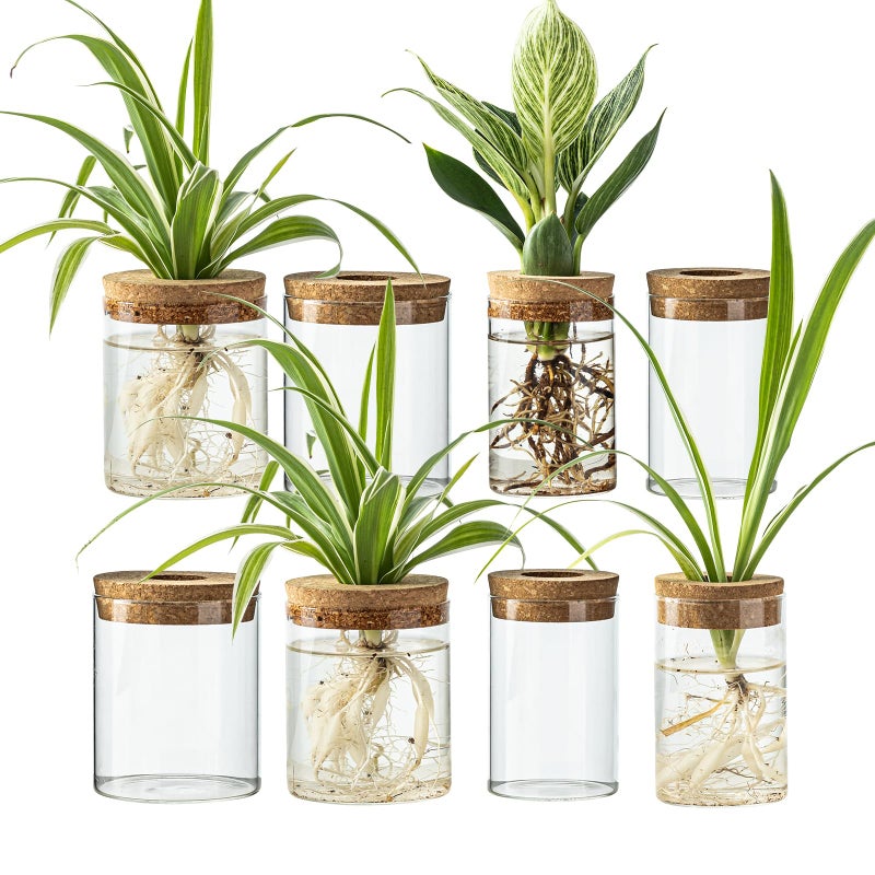 CHPINDAM Glass Propagation Stations for Plants -Desktop Flower Vases,Propagation Flower Vases Set â€“ 2 Large & 2 Small for Plant Cuttingsï¼Œfor Living Room, Bedroom Decoration,Home,Office Decor (8) - Image 1