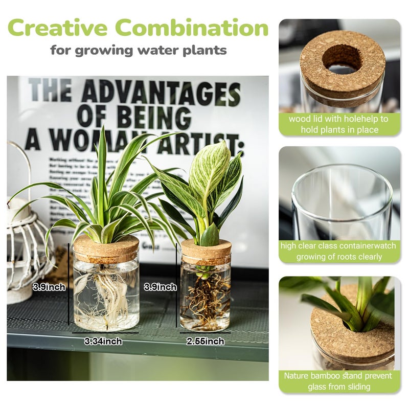 CHPINDAM Glass Propagation Stations for Plants -Desktop Flower Vases,Propagation Flower Vases Set â€“ 2 Large & 2 Small for Plant Cuttingsï¼Œfor Living Room, Bedroom Decoration,Home,Office Decor (8) - Image 2