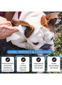 SKY-TOUCH Dog Wipes 80pcs, Large Pet Grooming Wipes for Dogs & Cats, for full body, eye wipes, ear wipes, Paws, & body Unscented (1 pack  - Image 4