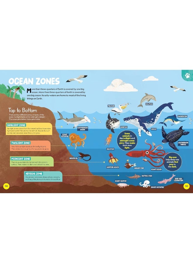 National Geographic Little Kids First Encyclopedia of Almost Everything - Image 5