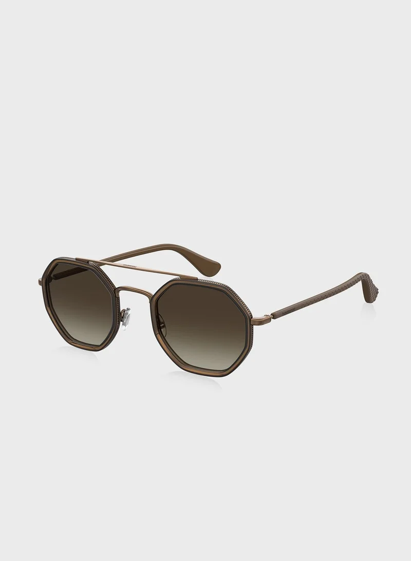 havaianas Wayfarers Sunglasses