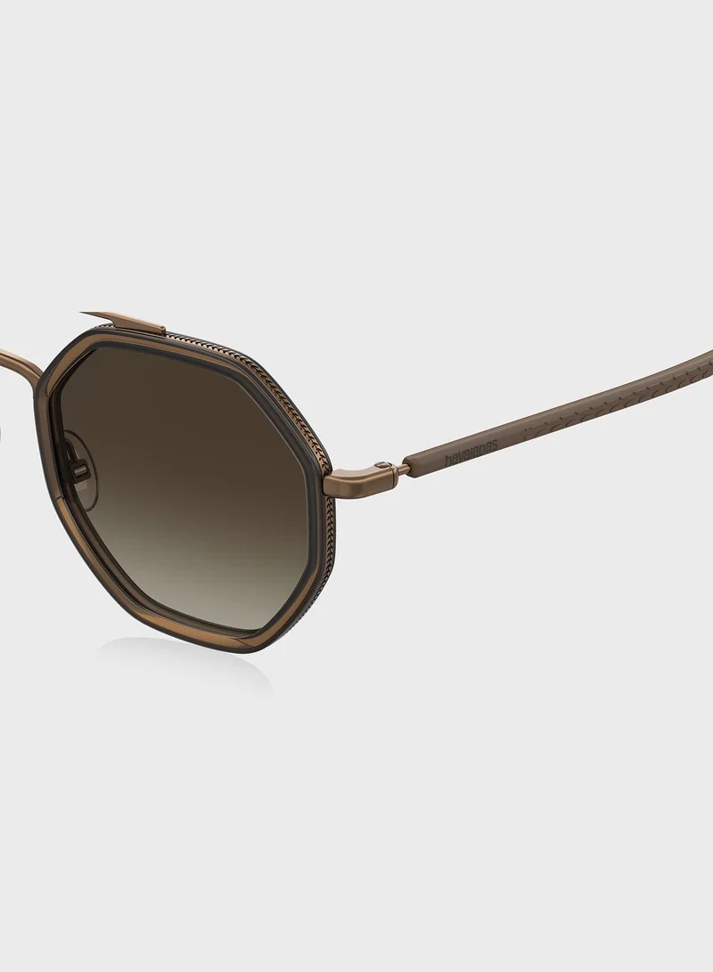 havaianas Wayfarers Sunglasses