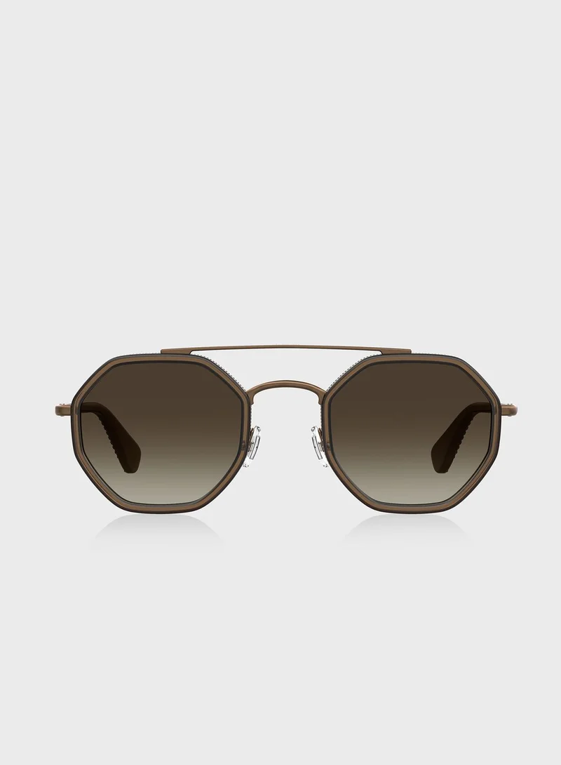 havaianas Wayfarers Sunglasses