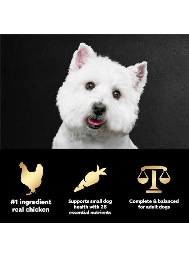 CESAR Adult Small Breed Dry Dog Food Rotisserie Chicken Flavor with Spring Vegetables Garnish, 5 lb. Bag - Image 5