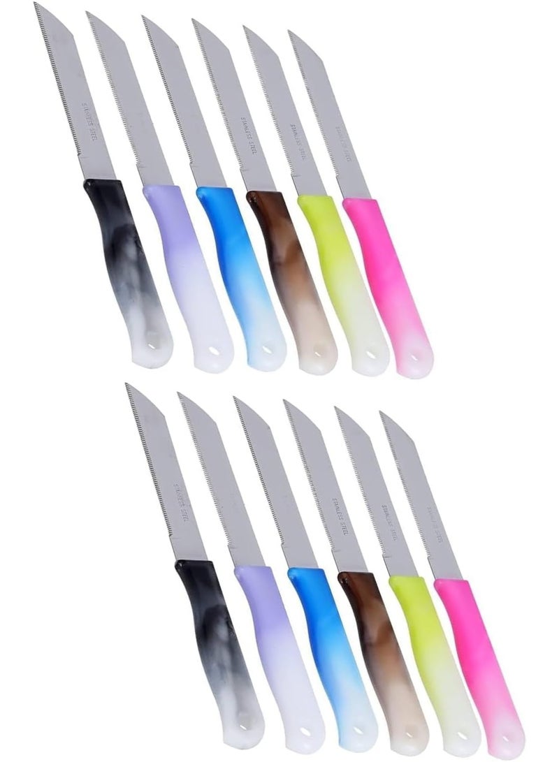 Bisbell Bisbell Stainless Steel Fruit Knives Set,Knife,12 Pieces, Multi-Colour Handles,BB3772  - Image 1