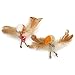 Petlinks 2 Count HappyNip Love Birds Cat Toys Contains Silvervine Catnip Multi Color 2 Count - Image 3