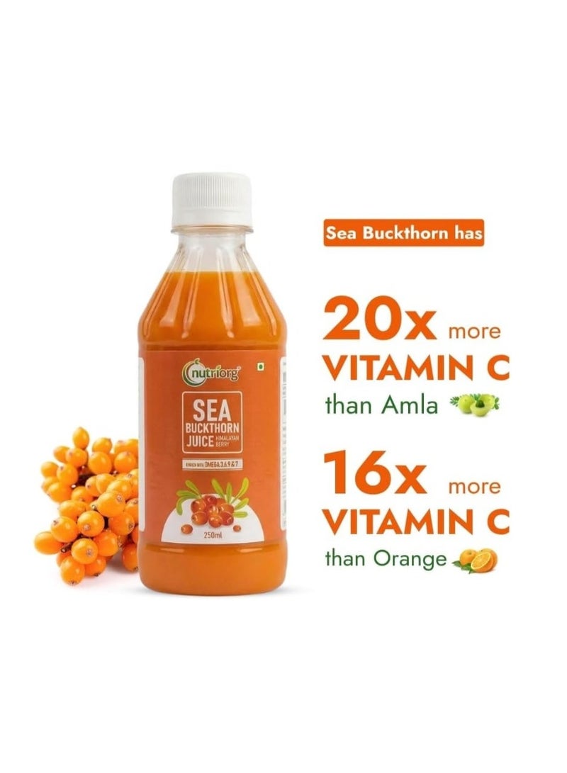 نوتري أورج Nutriorg Sea Buckthorn Juice 500ml | Himalayan Berries | Rich Omega 3,6,9,7 | Vitamin C Rich - Image 3