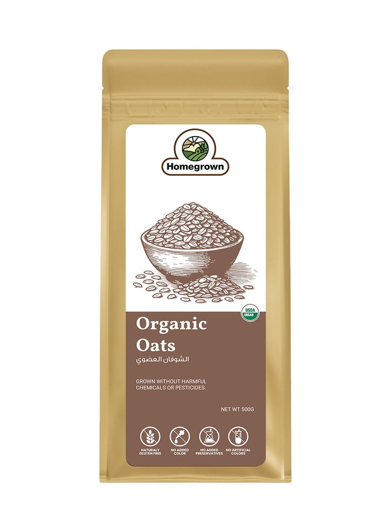 Homegrown Organic Oats 500g | Whole Grain, High-Fiber Rolled Oats | Rich in Protein & Beta-Glucan | Ideal for Breakfast, Weight Loss, Porridge, Overnight Oats & Smoothies - Image 1