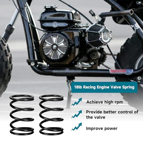 FVRITO 26lb Valve Springs with Retainer Kit for Predator 212cc 196cc 224cc GX160 GX200 Non Hemi 55HP 65HP OHV Clone Engine Powerhorse Coleman CT200U BT200X Mini Bike Go Kart Performance Parts - Image 3