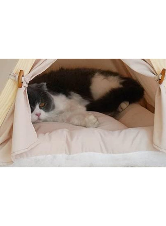 يُسلِّم خيام الحيوانات الأليفة، خيام القطط والكلاب، أكياس نوم دافئة وناعمة لأقفاص الكلاب والقطط، أسرّة/حصائر كهوف لأقفاص الكلاب والقطط، خيام حيوانات أليفة محمولة وقابلة للطي مناسبة للاستخدام الداخلي والخارجي، خيام قابلة للطي، غرف ولادة القطط، أقفاص القطط، وبيوت القطط. - Image 3