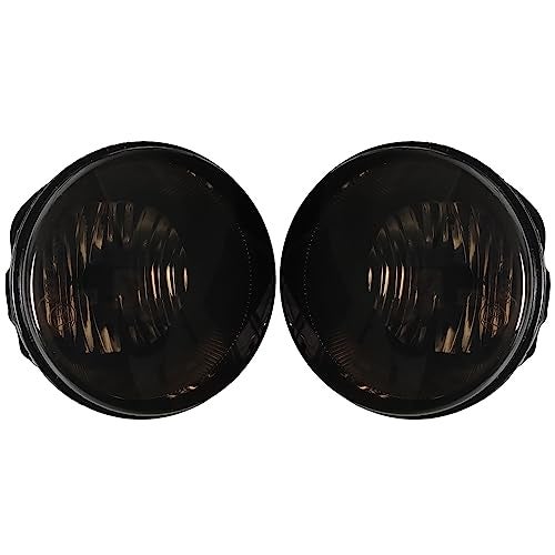 RAGBUSCLE 1 Pair Front Bumper Fog Light Smoke Lens, Fog Lamps Replacements with Halogen Bulbs, 2005-2008 Compatible with Chrysler 300C - Image 1