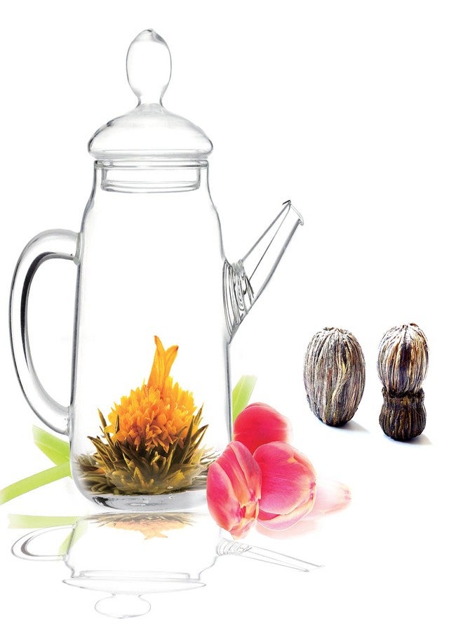 Tea Beyond Teapot Gift Set, 16oz and Blooming Tea Duo (2 Blooms) - Image 1