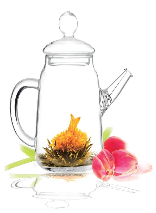 Tea Beyond Teapot Gift Set, 16oz and Blooming Tea Duo (2 Blooms) - Image 3