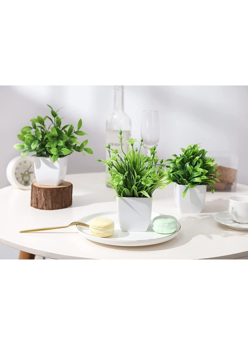 نباتات صناعية مع مزهريات لتزيين غرفة النوم وغرفة المعيشة، 6 قطع - (الارتفاع الإجمالي 12 سم) - Image 3