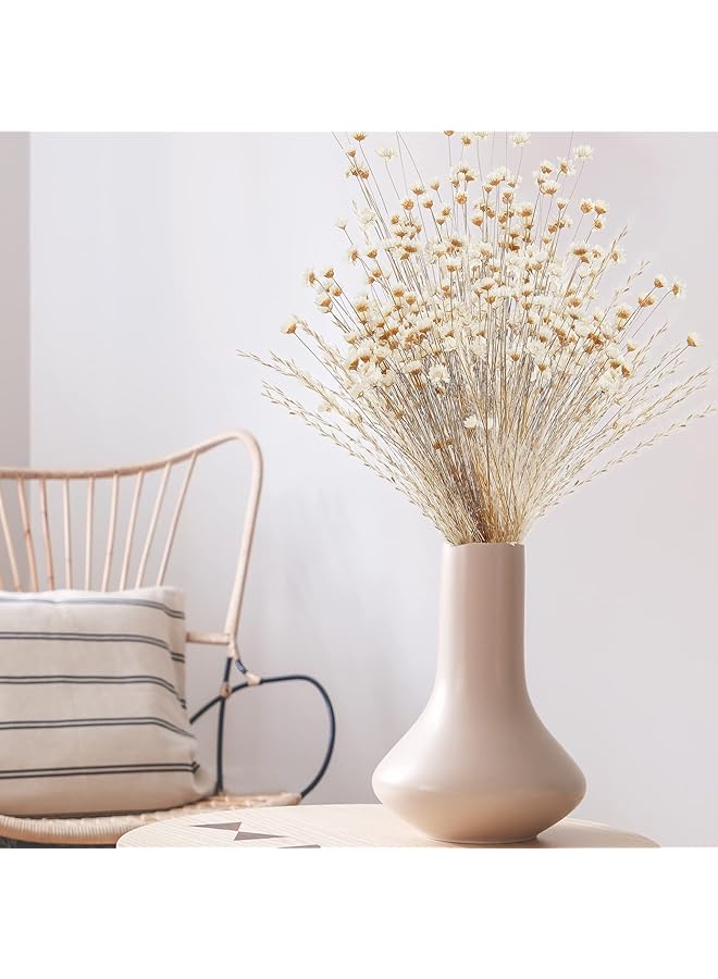 erorex Natural Dry Flowers Brazilian Small Star Daisy Dried White Flowers Dried Daisy Flowers Decorative Dried Flowers Mini Daisy Chamomile Bouquet For Wedding Floral Arrangements Home Decorations 200Pcs - Image 3