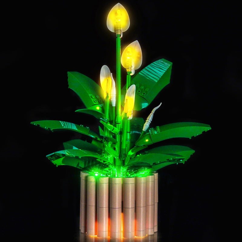 LocoLee Customized Light kit Compatible with Lego 11504 Peace Lily No Actual Model Only Lights LED Lighting Accessories Compatible with Lego Lily 11504 - Image 3
