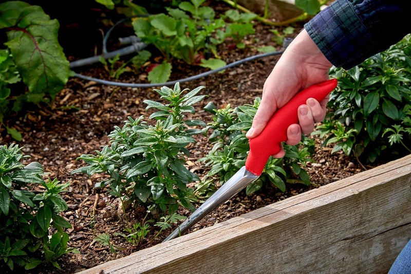 Corona CT 3050I Weeder - Image 4