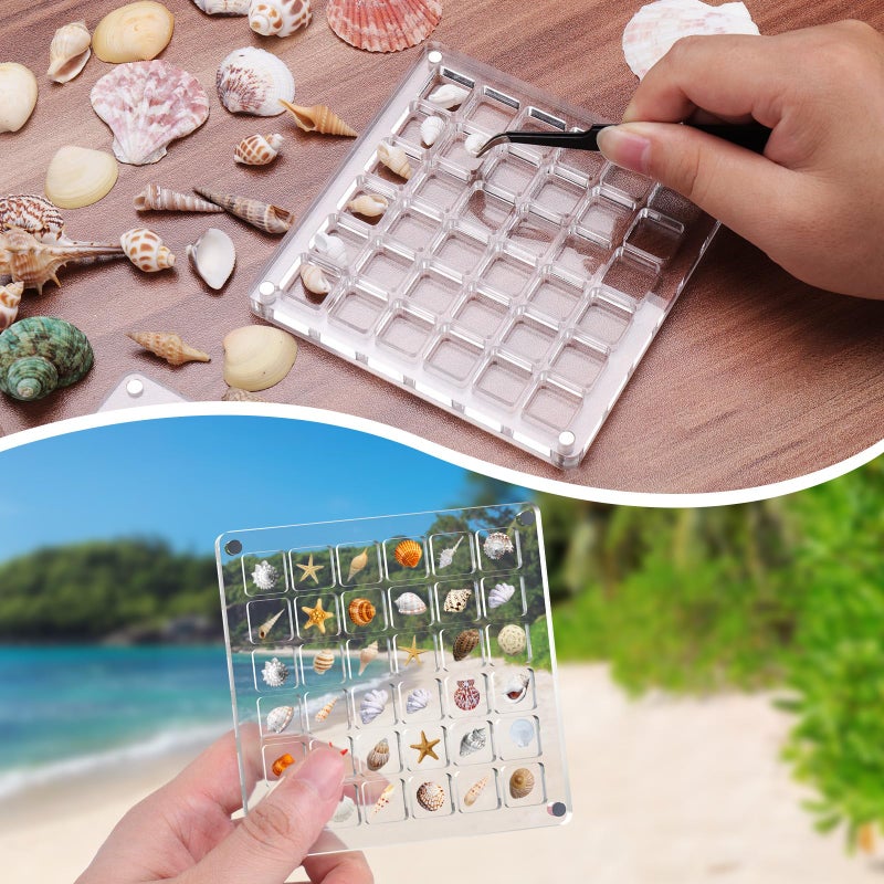 XANGNIER Acrylic Magnetic Seashell Display Box,Clear Sea Shell Display Box,Beach Magnet Storage Organizer Case for Seashell Diamond Beads,72 Grids,Transparent,2 Pack - Image 5