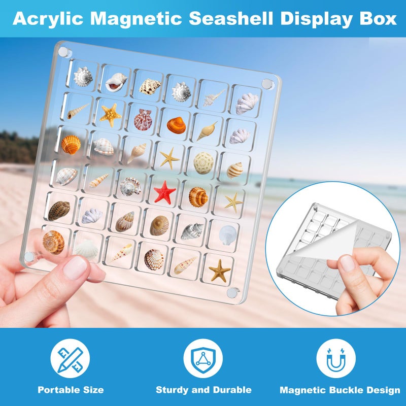 XANGNIER Acrylic Magnetic Seashell Display Box,Clear Sea Shell Display Box,Beach Magnet Storage Organizer Case for Seashell Diamond Beads,72 Grids,Transparent,2 Pack - Image 3