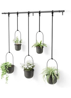 Triflora Hanging Planter Set Of 5 Black - pzsku/Z66465393A8E8F4F26947Z/45/_/1722927696/f8bd86d5-734f-495a-befb-1674f328d39a