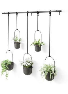 Triflora Hanging Planter Set Of 5 Black - pzsku/Z66465393A8E8F4F26947Z/45/_/1722927727/47c314d3-5f6a-446a-8a66-649bf11f95a7