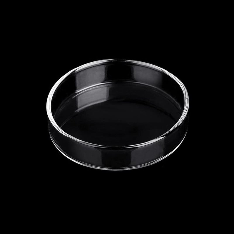 Dannisly Aquarium Glass Feeder Dish Shrimp Feeding Dish Round Clear Glass Fish Feeder Bowl Fish Tank Food Tray Container Prevent Food Spilling, 65mm