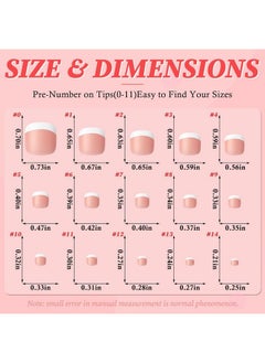 LifexTol 240Pc Press On Toenails For Women Toe Press On Nails French Tip Toe Nail Press Ons With Glue&Sticky Tabs,3 In 1 Glue On Fake Toe Nail Tips False Acrylic Toenails Press Ons Artifitial Toenail  - Image 5
