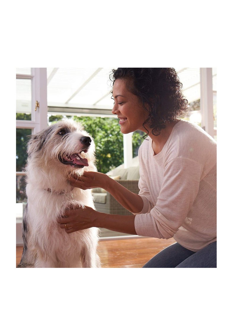 Frontline - Plus for Dogs Medium Dog (23-44 pounds) Flea and Tick Treatment, 6 Doses - Image 1