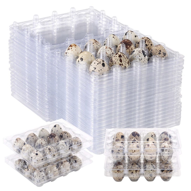 LayHyand 60 Pcs Quail Egg Cartons Square Dozen Egg Boxes Classical 3x4 Style Holds Up to Twelve 12 Count Small Quail Eggs Basket Pigeon Eggs Bulk Carton Quail Egg Tray Container for Refrigerator