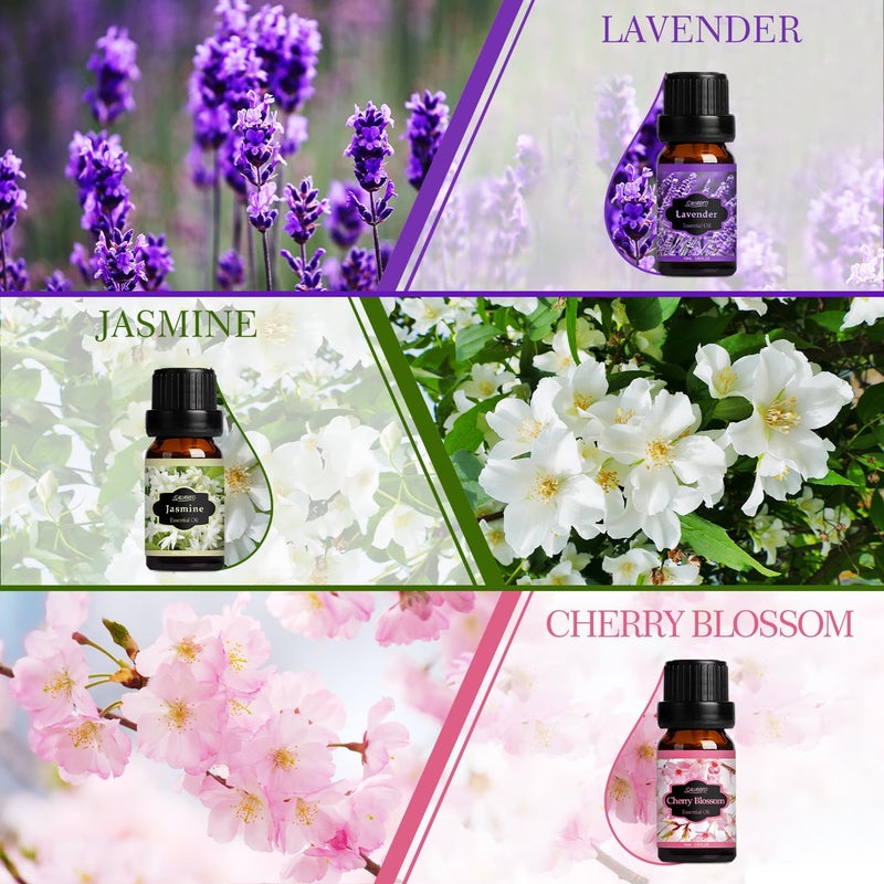 SALUBRITO Floral Fragrance Oils Set, Essential Oils for Diffuser & Candle Making Scents, 6x10ml Aromatherapy Oils Gift Set - Jasmine, Lavender, Rose, Gardenia, Cherry Blossom, Honeysuckle Oil - Image 2