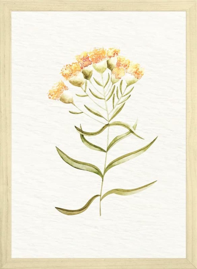 SC CREATIVES Set of 4 Vintage Botany Floral Wall Frame | Wall Decor | 12 x 9 Inches | Ready To Hang - Image 4