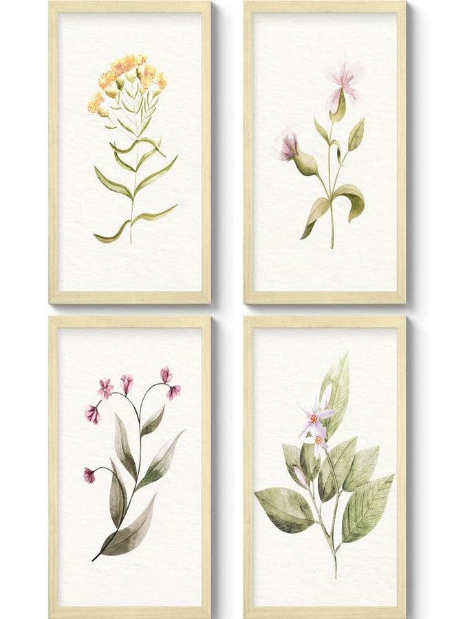 SC CREATIVES Set of 4 Vintage Botany Floral Wall Frame | Wall Decor | 12 x 9 Inches | Ready To Hang - Image 1