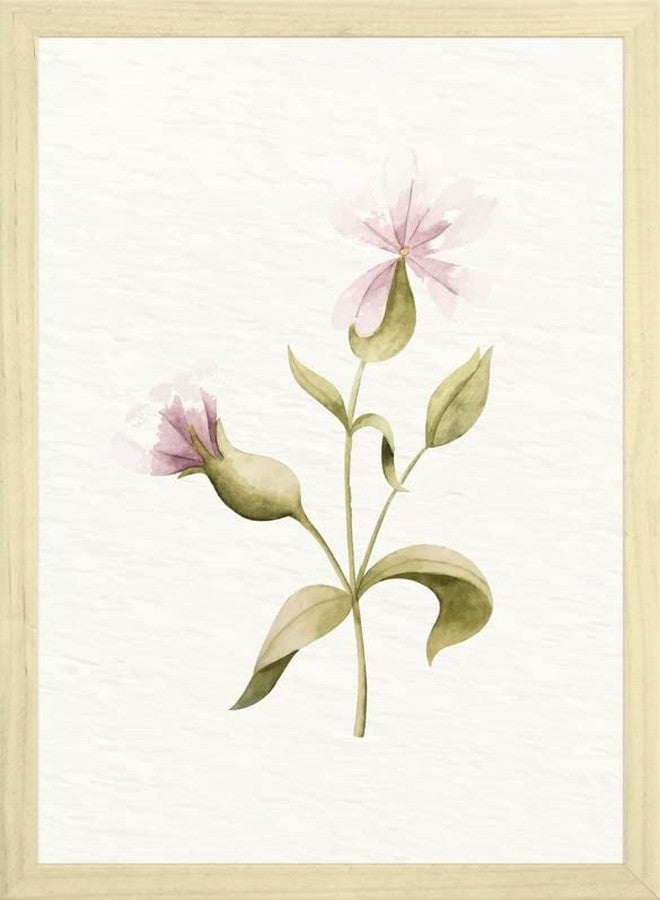 SC CREATIVES Set of 4 Vintage Botany Floral Wall Frame | Wall Decor | 12 x 9 Inches | Ready To Hang - Image 5