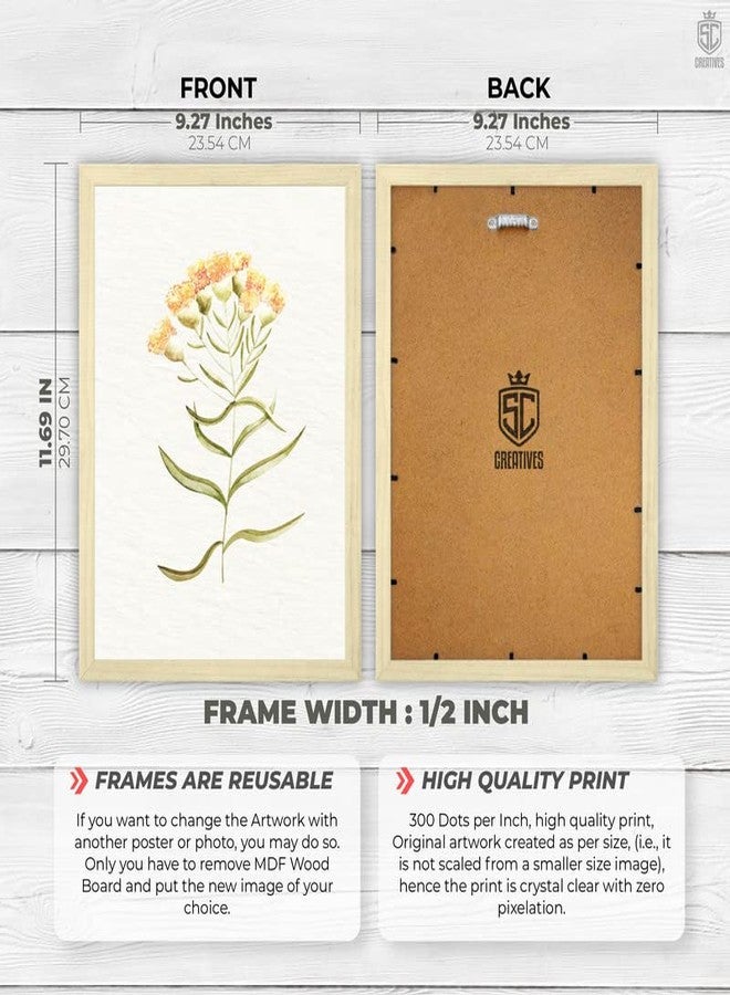 SC CREATIVES Set of 4 Vintage Botany Floral Wall Frame | Wall Decor | 12 x 9 Inches | Ready To Hang - Image 3