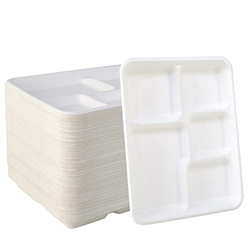 Vplus Vplus 500 Pack 5 Compartment Plates 100 Compostable Paper Plate 1025x85 inch Disposable School Lunch Trays EcoFriendly Bagasse Plates for School Lunch Buffet and Party Perfect for Kids 