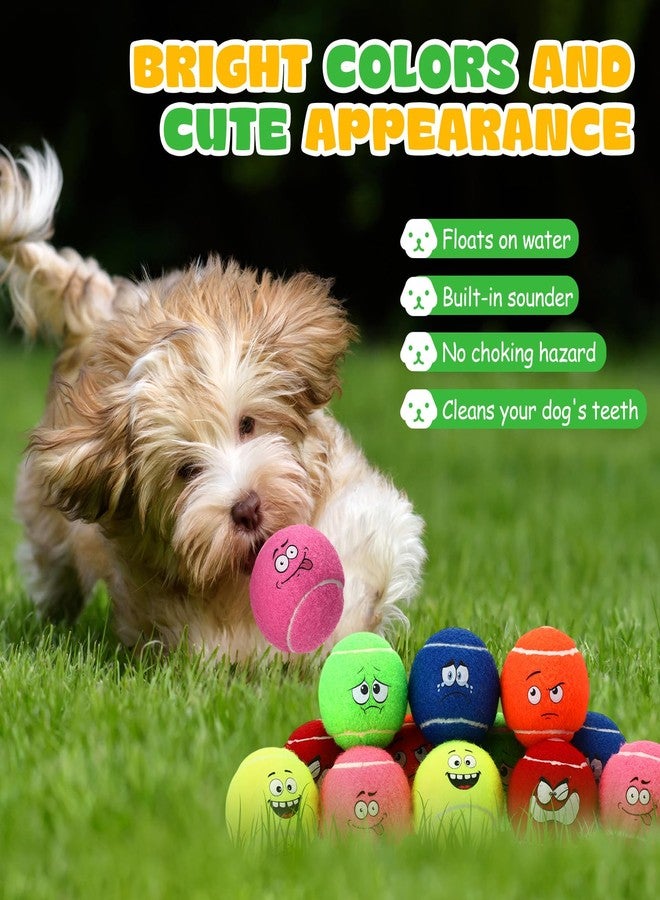 Vinsot 12 Pack Squeaky Tennis Balls for Dogs Puppy Tennis Balls with Smile Face Interactive Pet Toys for Small Dogs and Puppies Outdoor Play Training (Bright) - Image 3