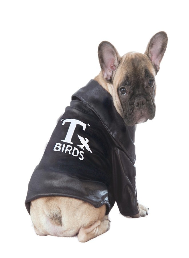 Grease: T-Birds Pet Costume for For Dogs or Cats by Rubies, Large