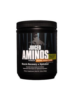 Juiced Aminos 6G BcaaEaa Matrix Plus 4G Amino Acid Blend For Recovery And Improved Performance Orange 30 Servings 133 Ounce - pzsku/Z664D07F461CB8141D543Z/45/_/1695134345/03bbefcd-c068-4e1c-85a5-54d1ed867bd5