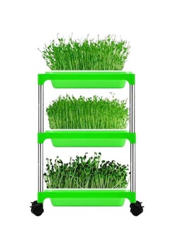 Seed Sprouter Storage Tray Stainless Steel 3 Tier Rolling Cart With Sprouter Tray And Lid Vegetable and Herb Grower Cart, 3 Tier, 4 Wheels, Indoor/Outdoor, Green - pzsku/Z664D12943E7598BB8321Z/45/_/1711362202/1be8f631-4cd5-46f8-b788-0dabac7b40e7