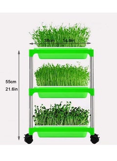 Seed Sprouter Storage Tray Stainless Steel 3 Tier Rolling Cart With Sprouter Tray And Lid Vegetable and Herb Grower Cart, 3 Tier, 4 Wheels, Indoor/Outdoor, Green - pzsku/Z664D12943E7598BB8321Z/45/_/1711362203/d22ef43f-e979-46bc-9ada-c33f2a133ef7