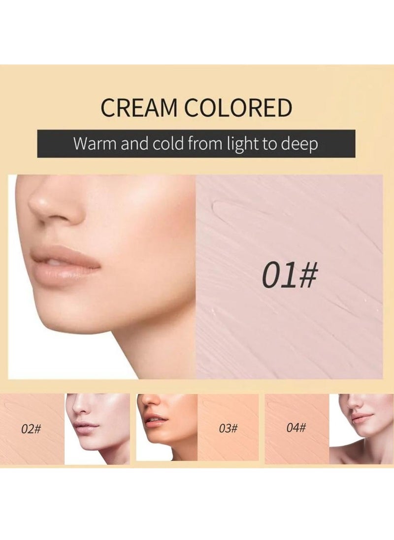 Concealer Soft Light Matte Foundation Liquid Foundation Makeup Base with Cushion Applicator Natural Lightweight Soft Silky Smooth Creamy Concealer Normal to Oily Skin Instant Age Rewind Eraser 01