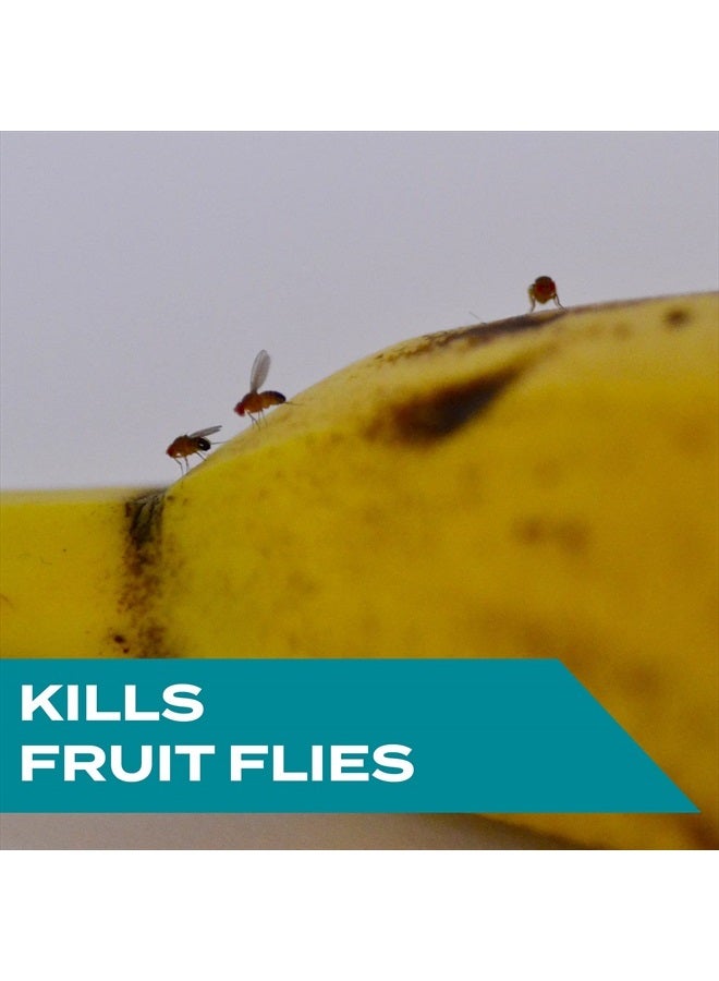 STEM Stem Kills Fruit Fly Trap: Fruit Fly Catcher With Botanical Extracts; 5.4 fl oz (Pack Of 1) - Image 2