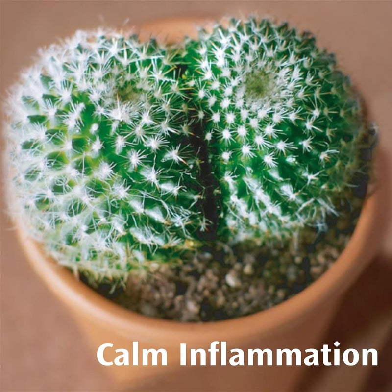 Anusol Soothing Relief Ointment 15g - Image 5